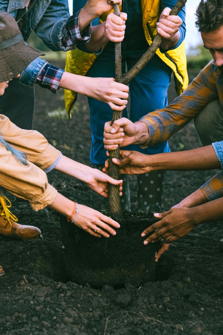 Cracking the code of employee change adoption